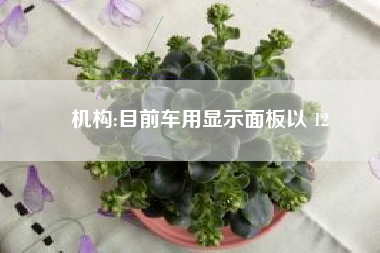 机构:目前车用显示面板以 12