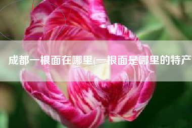 成都一根面在哪里(一根面是哪里的特产)