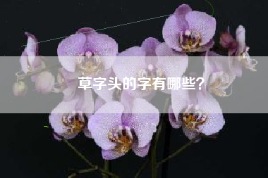 草字头的字有哪些？