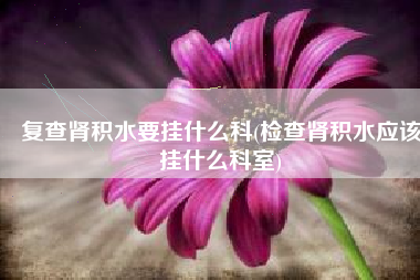 复查肾积水要挂什么科(检查肾积水应该挂什么科室)