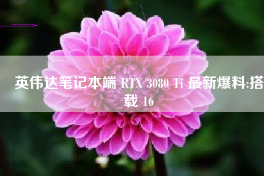 英伟达笔记本端 RTX 3080 Ti 最新爆料:搭载 16