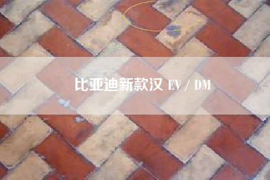 比亚迪新款汉 EV / DM