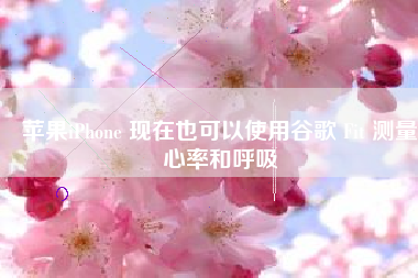 苹果iPhone 现在也可以使用谷歌 Fit 测量心率和呼吸