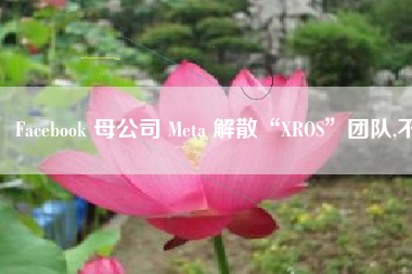 Facebook 母公司 Meta 解散“XROS”团队,不