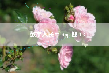 数字人民币 App 迎 1.3