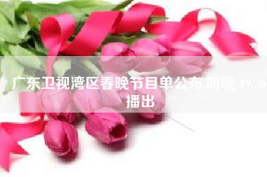 广东卫视湾区春晚节目单公布,明晚 19:30 播出