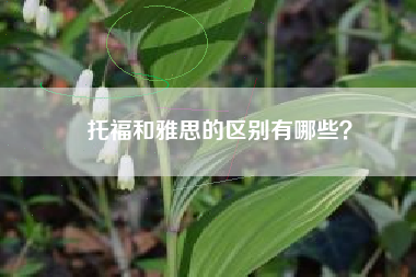 托福和雅思的区别有哪些？