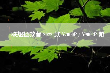 联想拯救者 2022 款 Y7000P / Y9002P 游