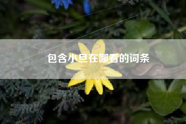 包含小旦在哪看的词条