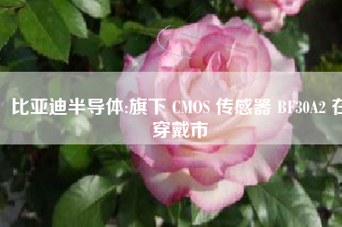 比亚迪半导体:旗下 CMOS 传感器 BF30A2 在穿戴市