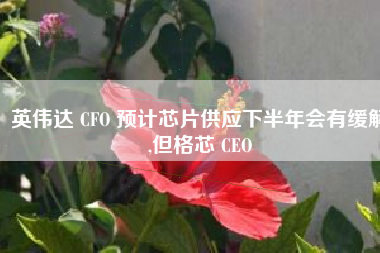 英伟达 CFO 预计芯片供应下半年会有缓解,但格芯 CEO 