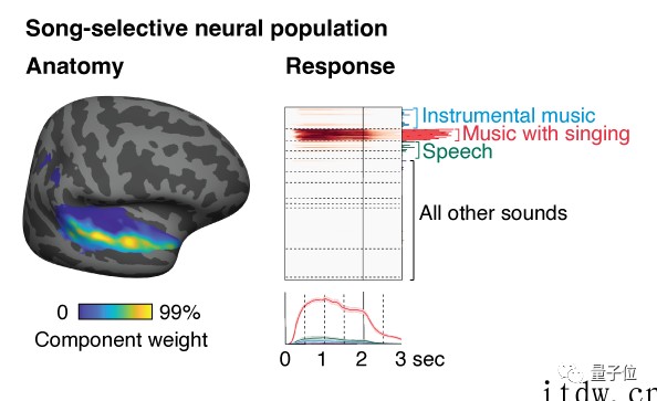 MIT 科学家首次发现只对歌唱有反应的神经元,必须人声带伴奏