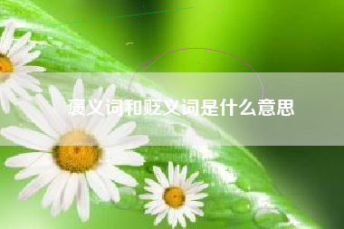 褒义词和贬义词是什么意思