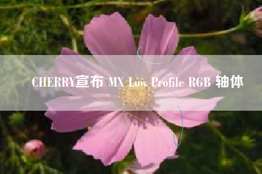 CHERRY宣布 MX Low Profile RGB 轴体