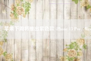 苹果下周将推出紫色款 iPhone 13 Pro / Max