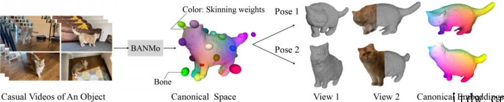 5秒手机视频也能重建猫咪 3D 模型,Meta 提出新算法为