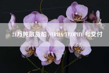 21万吨散货船 ALPHA TROPHY 号交付