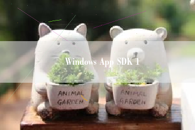 Windows App SDK 1