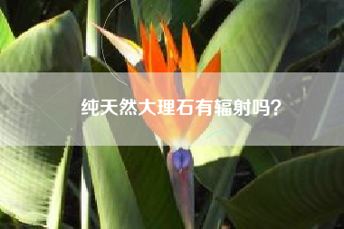 纯天然大理石有辐射吗？