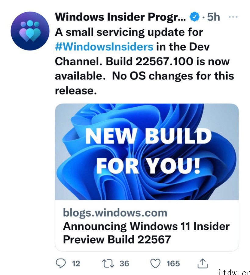 微软发布 Win11 Dev 预览版 22567