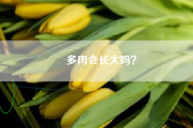 多肉会长大吗？