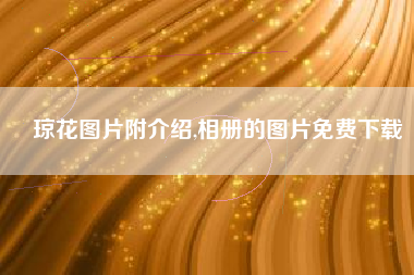 琼花图片附介绍,相册的图片免费下载
