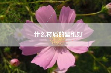 什么材质的壁纸好