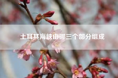土耳其海峡由哪三个部分组成
