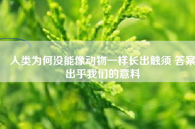 人类为何没能像动物一样长出触须 答案出乎我们的意料