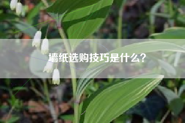 墙纸选购技巧是什么？