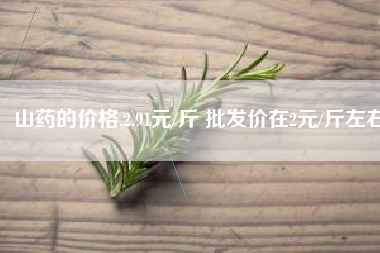 山药的价格,2.91元/斤 批发价在2元/斤左右