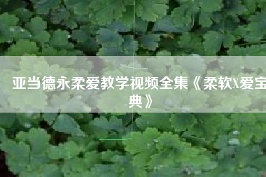 亚当德永柔爱教学视频全集《柔软X爱宝典》