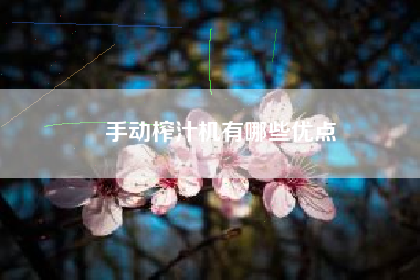 手动榨汁机有哪些优点