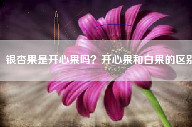 银杏果是开心果吗？开心果和白果的区别