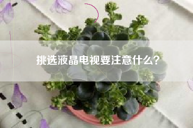 挑选液晶电视要注意什么？