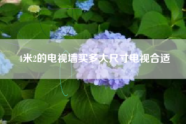 4米2的电视墙买多大尺寸电视合适