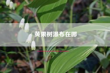 黄果树瀑布在哪