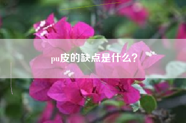 pu皮的缺点是什么？