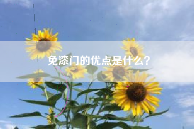 免漆门的优点是什么？