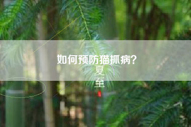 如何预防猫抓病？