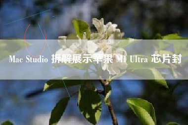 Mac Studio 拆解展示苹果 M1 Ultra 芯片封