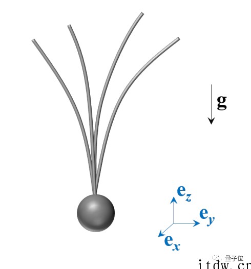 原力再现:科学家发现蜘蛛仅靠电场就能起飞,连风都不需要