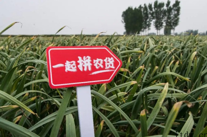 美股周一热门中概股多数下跌:知乎跌超 17%、哔哩哔哩跌逾 