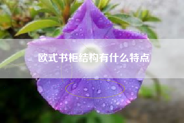 欧式书柜结构有什么特点