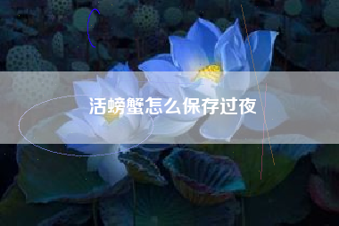 活螃蟹怎么保存过夜