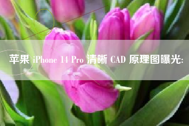 苹果 iPhone 14 Pro 清晰 CAD 原理图曝光: