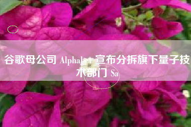 谷歌母公司 Alphabet 宣布分拆旗下量子技术部门 Sa