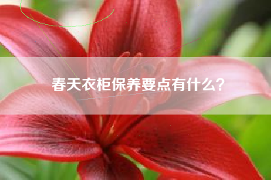 春天衣柜保养要点有什么？