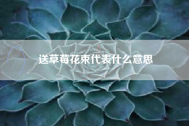 送草莓花束代表什么意思