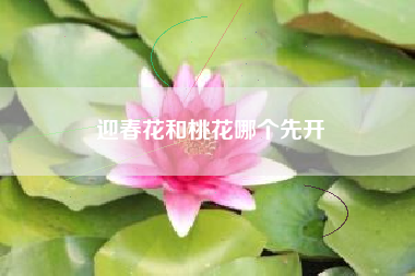 迎春花和桃花哪个先开